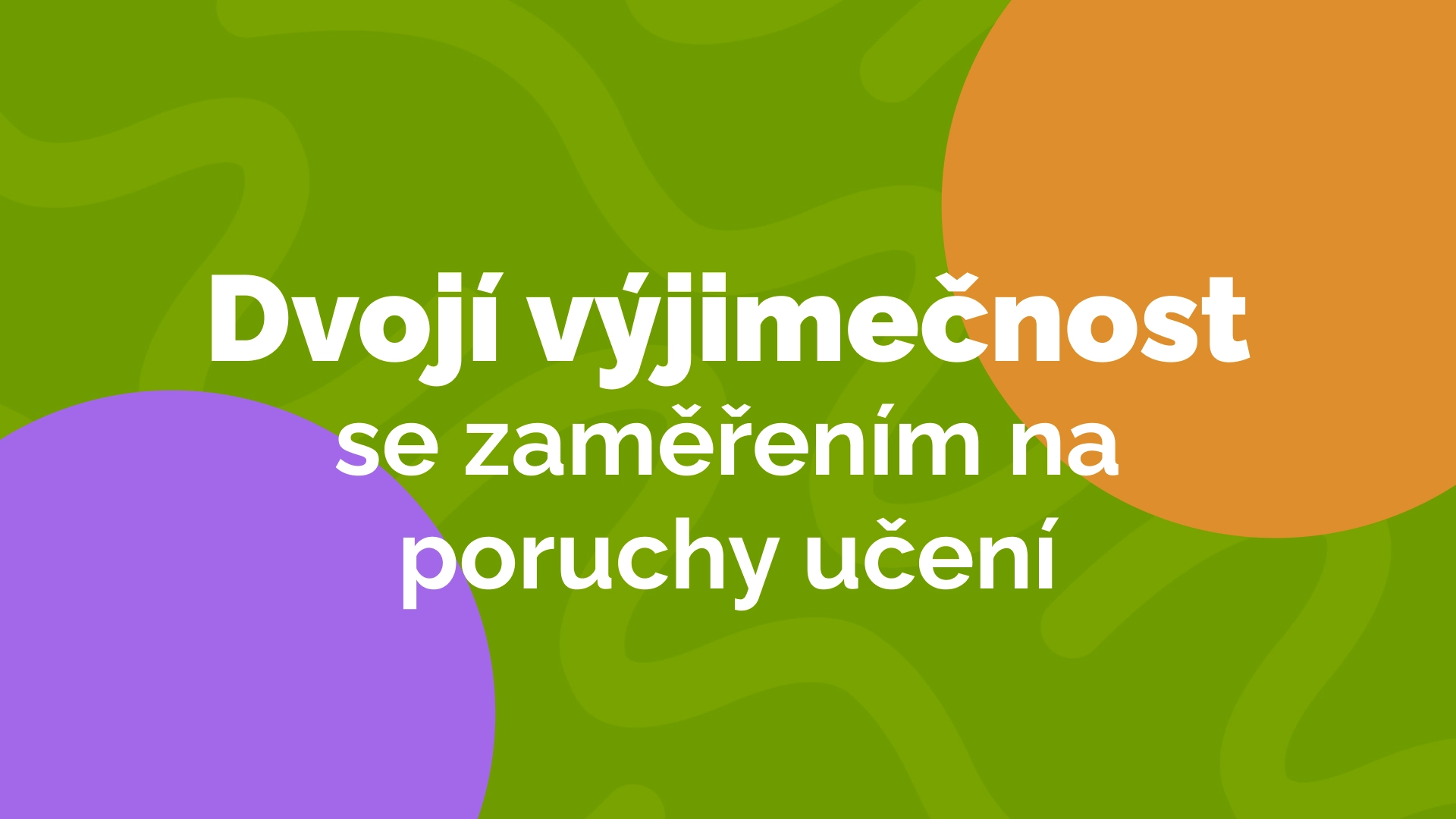 Dvojí výjimečnost se zaměřením na poruchy učení