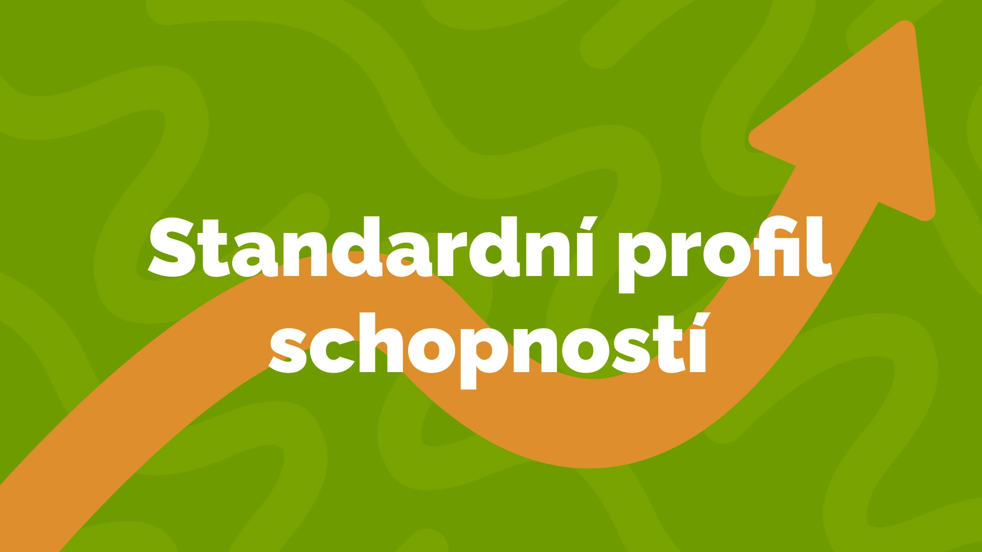Standardní profil schopností