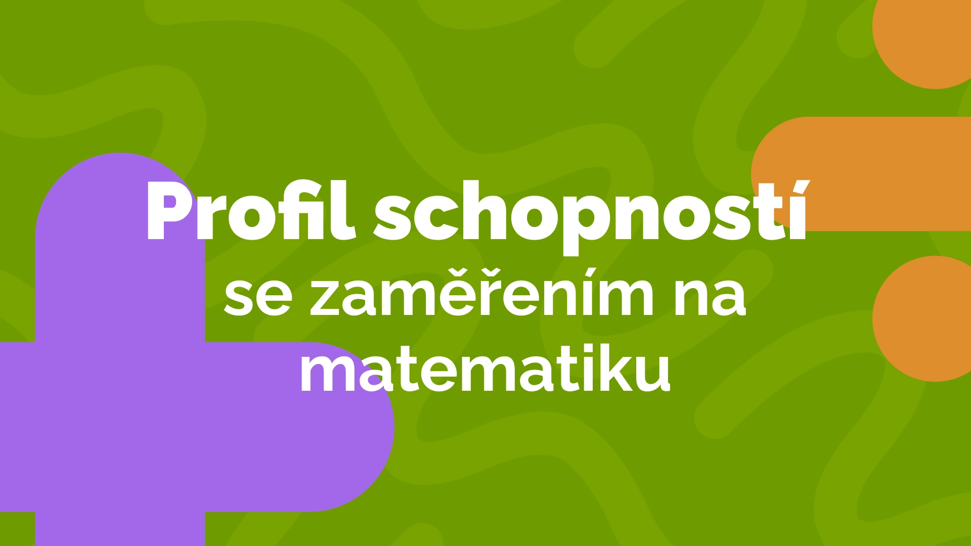 Profil schopností se zaměřením na matematiku