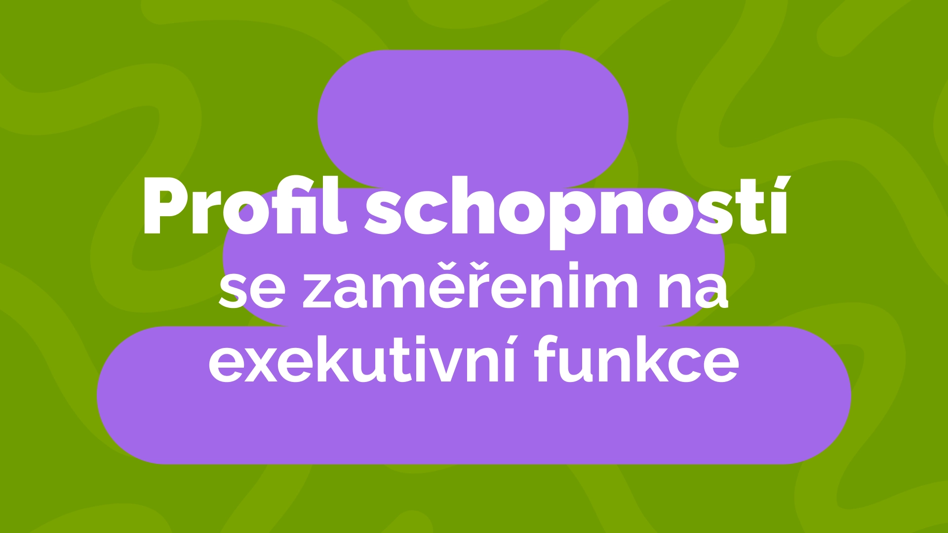 Profil schopností se zaměřením na exekutivní funkce