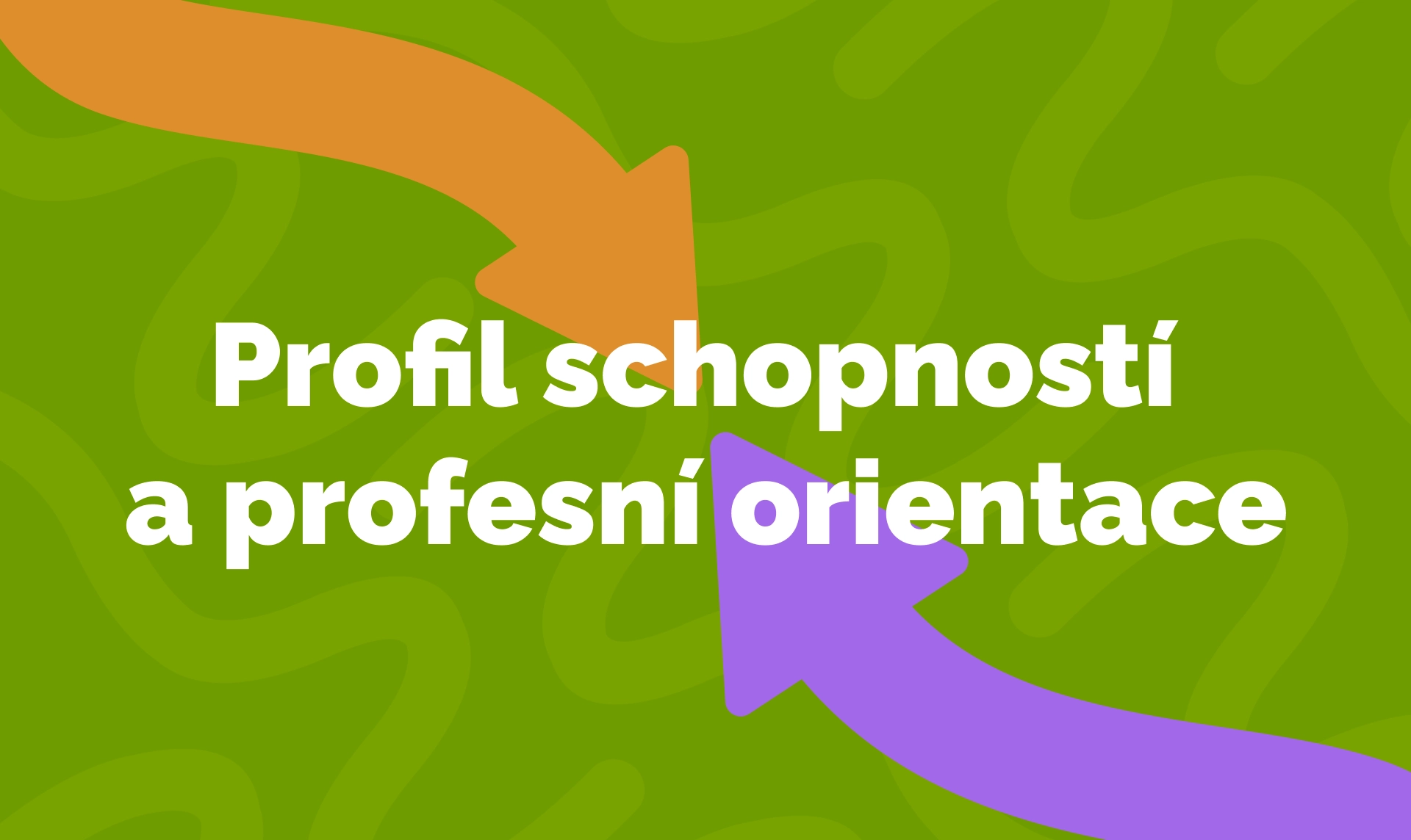 Profil schopností a profesní orientace